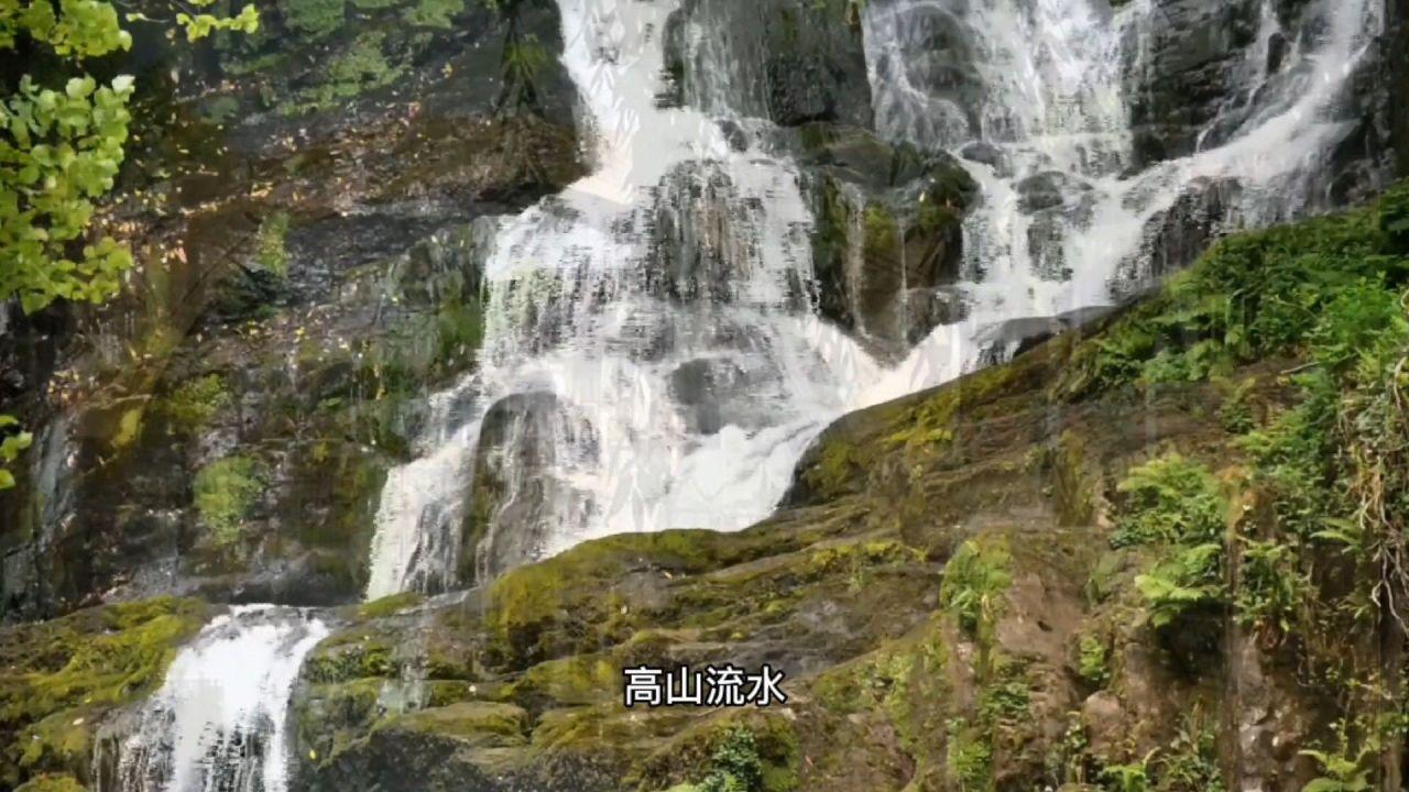 刷脸报到提案网报！政协委员今日报到，青岛进入“两会时间”